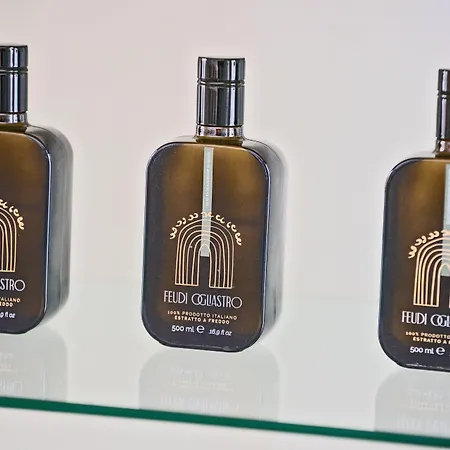 Palazzo Mosco - Dimora Storica 4* Галліполі